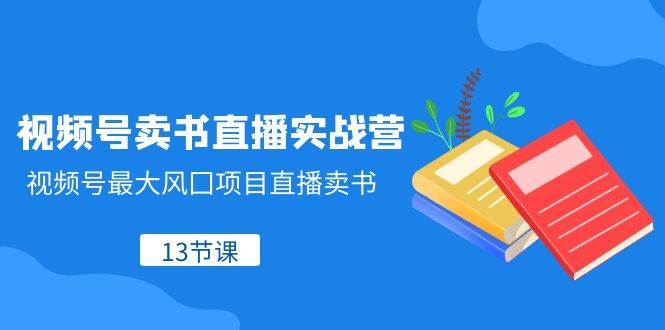 视频号-卖书直播实战营，视频号最大风囗项目直播卖书（13节课）