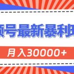 视频号最新暴利玩法，轻松月入30000+