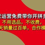 拼多多-合作开店日入4000+两天销量过百单，无学费、老运营教操作、小白…