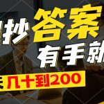 照抄答案，有手就行，每天几十到200