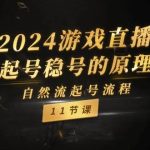 2024游戏直播-自然流起号稳号的原理和实战，自然流起号流程（11节）