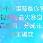 有个好事 降临你家：视频号最火赛道，商品橱窗，分成计划 条条爆款，每…