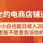 电商店铺运营教学，新手小白也能日收入2000+，电商老板不愿意告诉你的机密