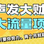 闷声发大财，大流量项目，月收益过3万，只要你努力，两个月就能翻身