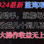 有手就行的2024全新蓝海项目，每天1小时收益几十到几百，可放大操作收…