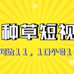 AI种草单账号日收益11元（抖音，快手，视频号），10个就是110元