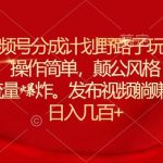 6月视频号分成计划野路子玩法最新赛道操作简单，颠公风格玩法清奇，流…