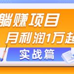 躺赚副业项目，月利润1万起，当天见收益，实战篇