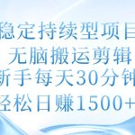 稳定持续型项目，无脑搬运剪辑，新手每天30分钟，轻松日赚1500+！