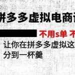 2024拼多多虚拟电商训练营 不用s单 不用改销量  在拼多多虚拟上分到一杯羹