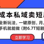 短剧最新玩法，0成本私域卖短剧，会复制粘贴即可月入过万，一部手机即…