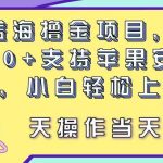 最新蓝海撸金项目，单号一天50+， 支持苹果安卓双端，小白轻松上手 当…