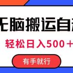 最新抖音视频搬运自动变现，日入500＋！每天两小时，有手就行