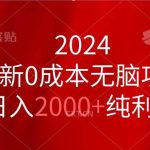 2024最新0成本无脑项目，日入2000+纯利润