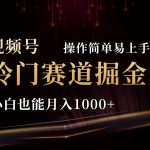 2024视频号三国冷门赛道掘金，操作简单轻松上手，小白也能月入1000+