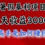 暑假暴利项目，每天收益3000+ 努努力能达到5000+，暑假大流量来了