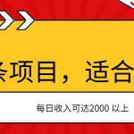 AI头条项目，适合初学者，次日开始盈利，每日收入可达2000元以上