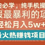 小白必学，纯手机操作，暑假最暴利的项目轻松月入5w+最火热赚钱项目