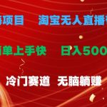 蓝海项目  淘宝无人直播冷门赛道  日赚500+无脑躺赚  小白有手就行