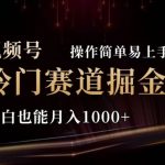 2024视频号冷门赛道掘金，操作简单轻松上手，小白也能月入1000+