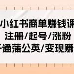 小红书商单赚钱课：注册/起号/涨粉/开通蒲公英/变现赚钱（25节课）