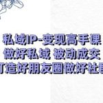 私域IP-变现高手课：做好私域 被动成交，打造好朋友圈做好社群（18节）