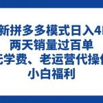 拼多多最新模式日入4K+两天销量过百单，无学费、老运营代操作、小白福利