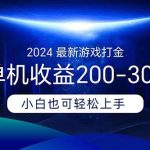 2024最新游戏打金单机收益200-300