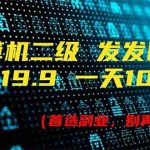 计算机二级，一单19.9 一天能出100单，每天只需发发图片（附518G资料）