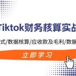 Tiktok财务核算实战营：TK业务模式/数据核算/应收款及毛利/数据下载及报表