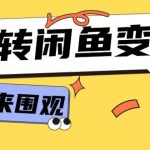 从0到1系统玩转闲鱼变现，教你核心选品思维，提升产品曝光及转化率-15节