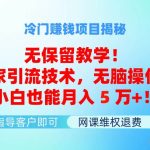 冷门赚钱项目无保留教学！独家引流技术，无脑操作！小白也能月入5万+！