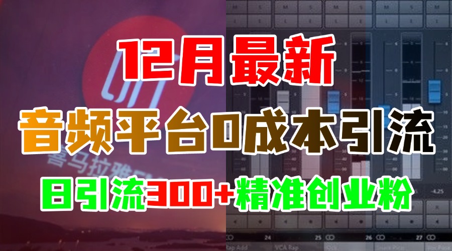 12月最新：音频平台0成本引流，日引300+精准创业粉